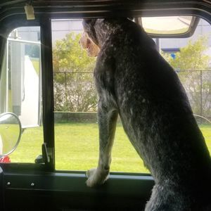 Meet your Posher, Todd